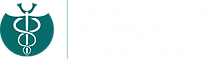 North Texas Neuro Surgery