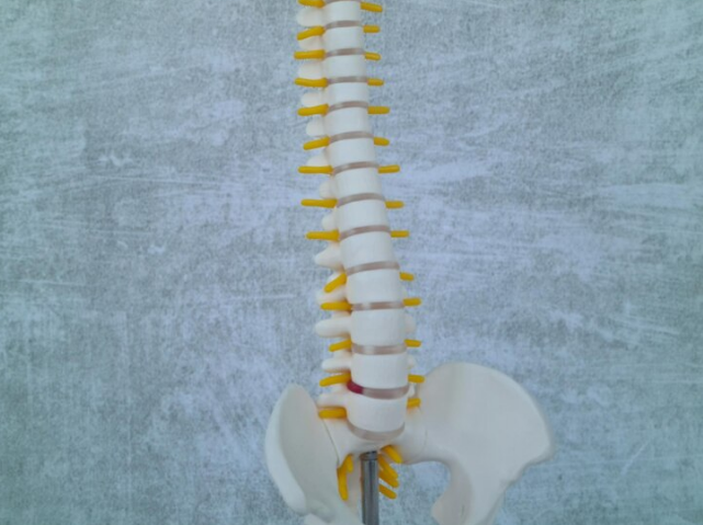 what are the latest treatments for degenerative disc disease?